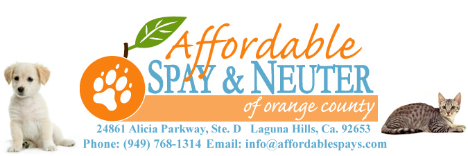 Affordable vet, Laguna Hills